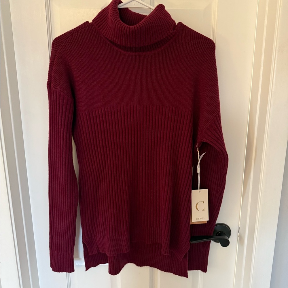 Cyrus Deep Red Turtleneck Sweater
